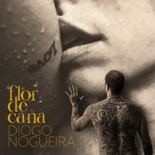 https://diogonogueira.com.br/wp-content/uploads/2023/04/Captura-de-Tela-2023-01-26-as-18.21.20-320x320-1.png